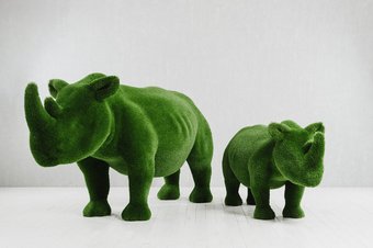 Комбинация два носорога